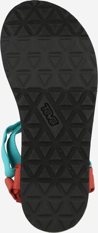 TEVA Sandals in Mixed colors