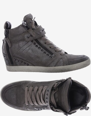Kennel & Schmenger Sneakers & Trainers in 39,5 in Grey: front