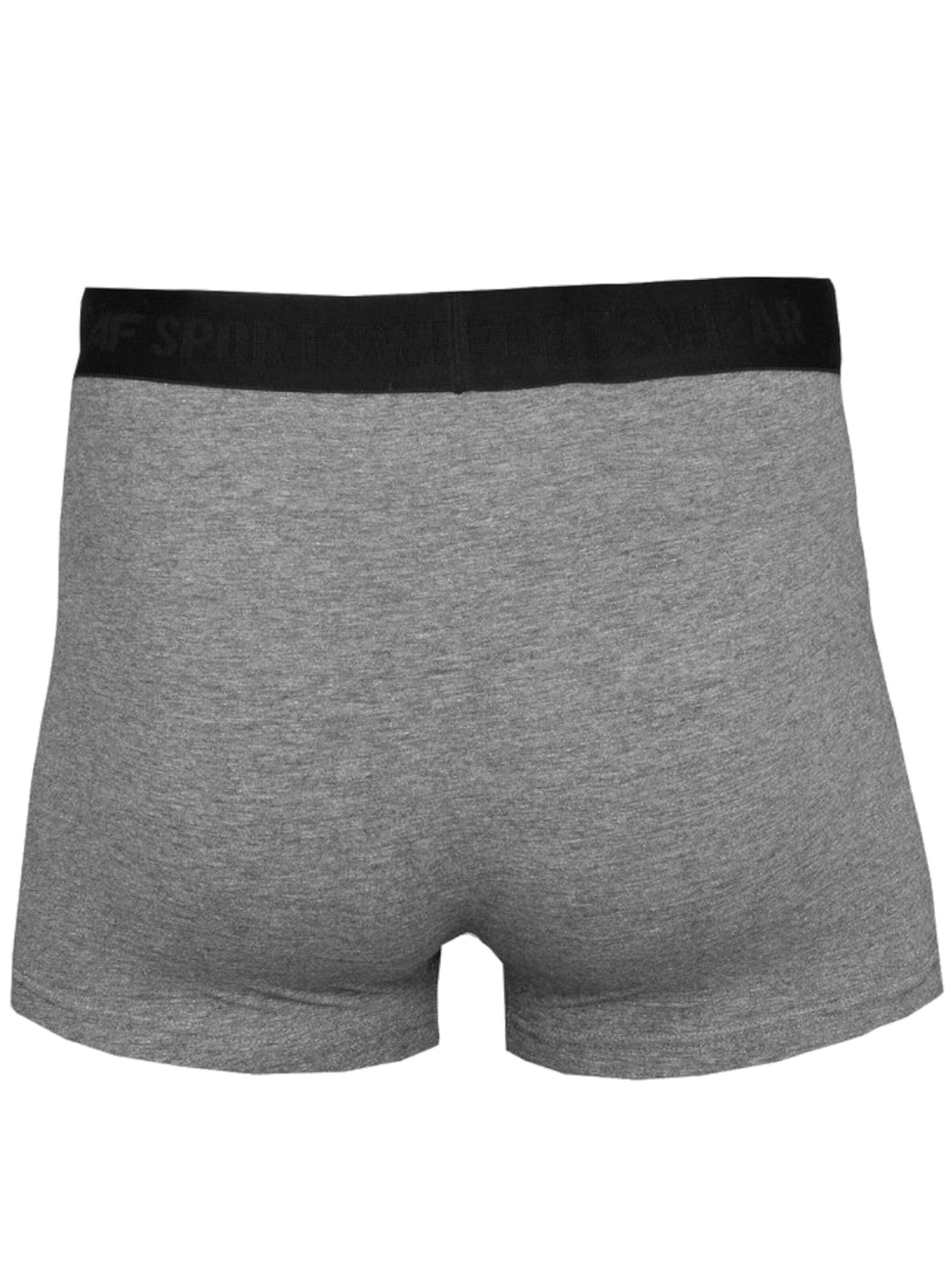 4F Boxer shorts '4F' in Grey