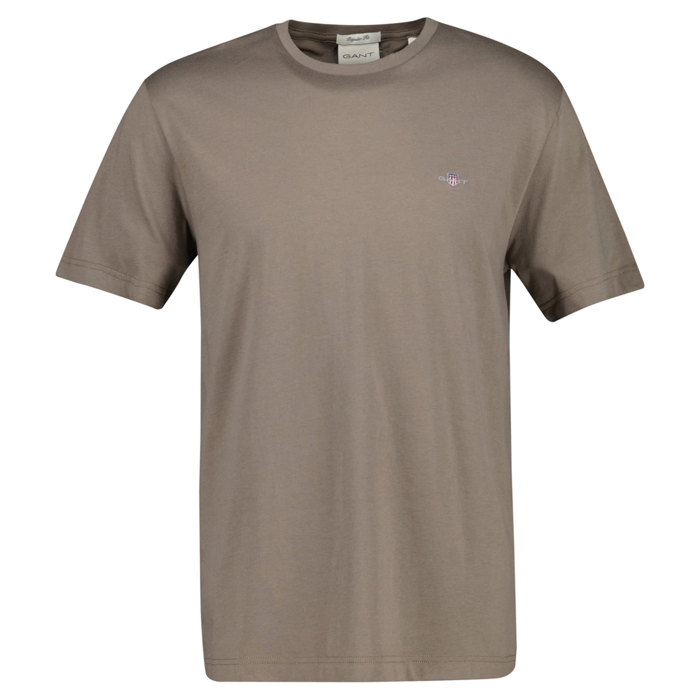 GANT - Camiseta en gris: frente