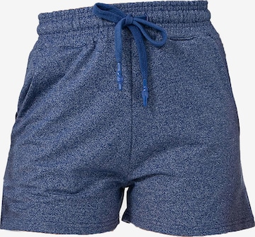 Dandalo Regular Housut värissä sininen: etupuoli