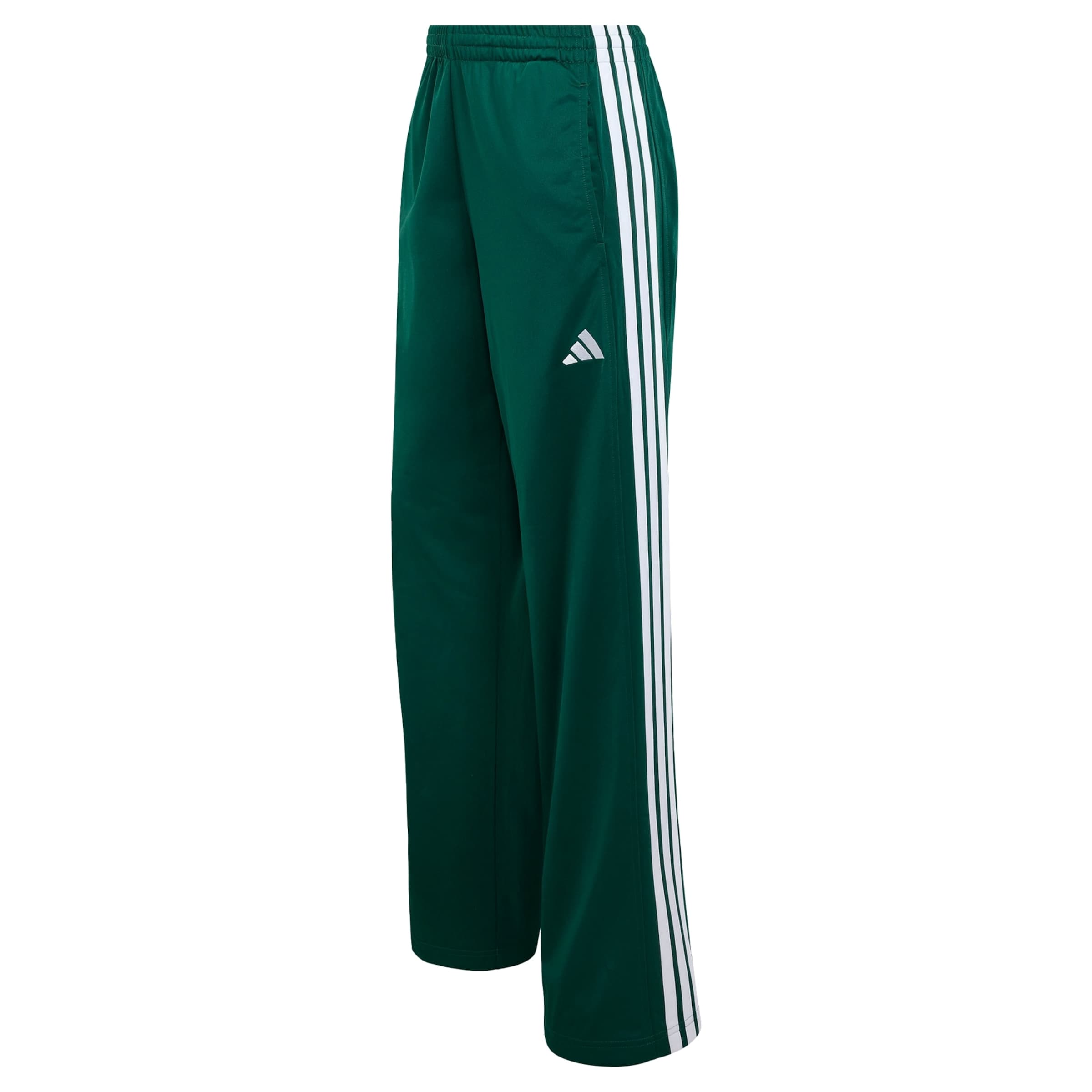 ADIDAS SPORTSWEAR - regular Pantalón deportivo 'Dayready' en verde: frente