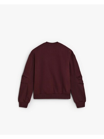 Scalpers Sweatshirt ' ' i rød: tilbage