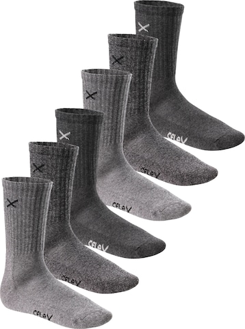 cflex Athletic Socks 'Lifestyle' in Grey: front