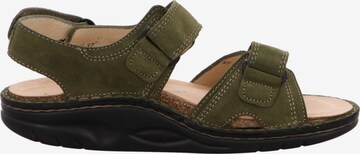 Finn Comfort Sandals in Green