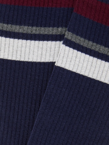 CALZEDONIA Socks in Blue