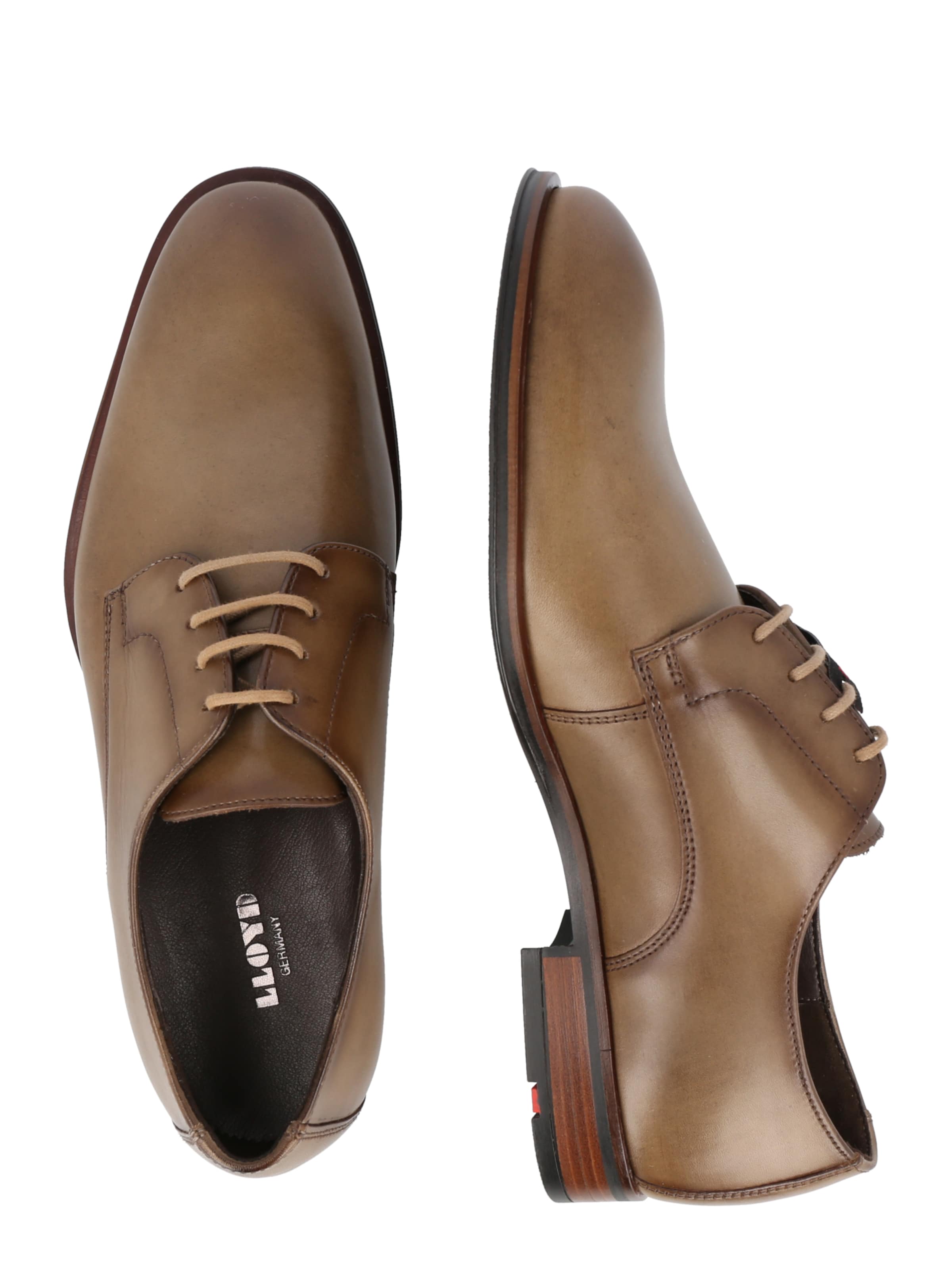 LLOYD Δετό παπούτσι 'Sabre' σε καφέ