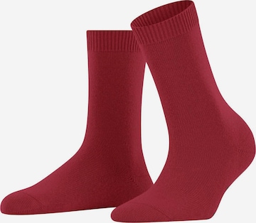 Calzino di FALKE in rosso: frontale