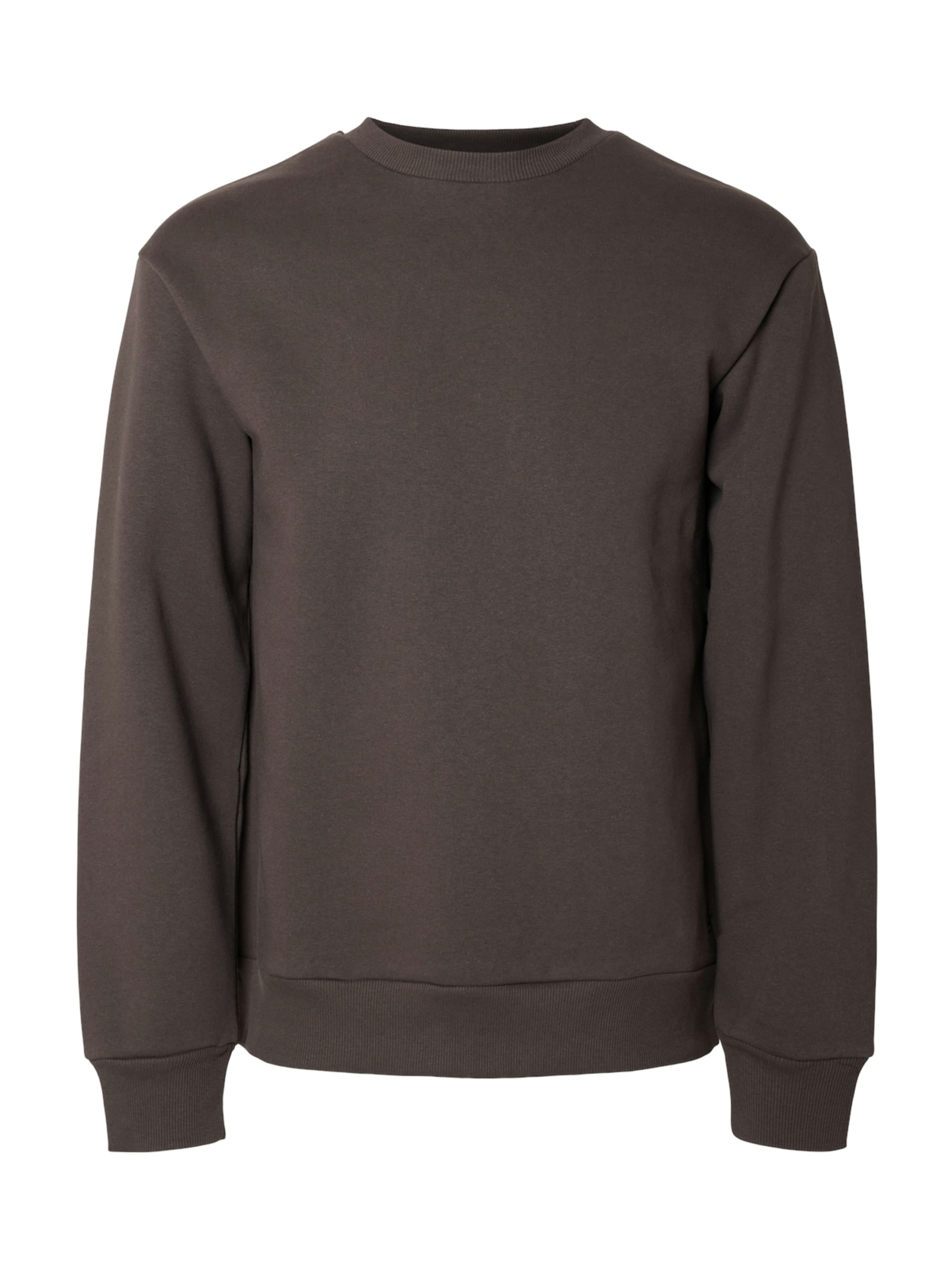 SELECTED Sweatshirt 'SLHREG-DAN' in Brown: front