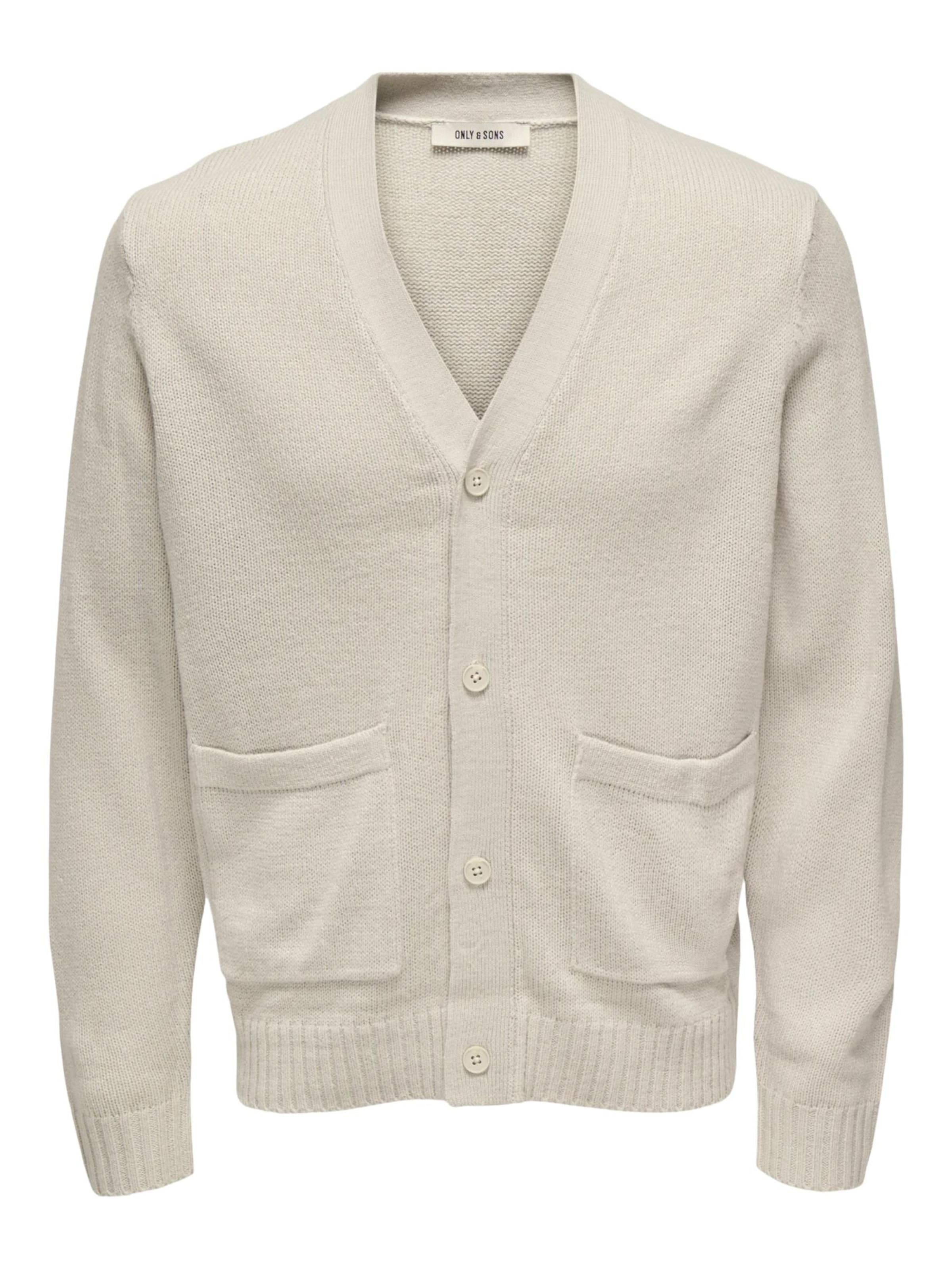 Only & Sons - Jersey 'ONSMAJOR RLX' en beige: frente