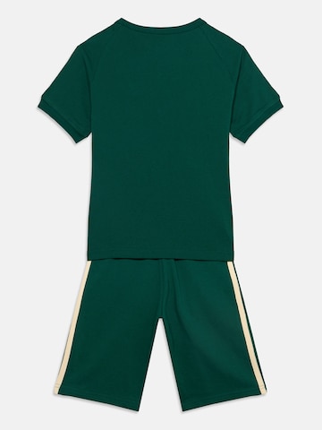 ADIDAS ORIGINALS Set i grön