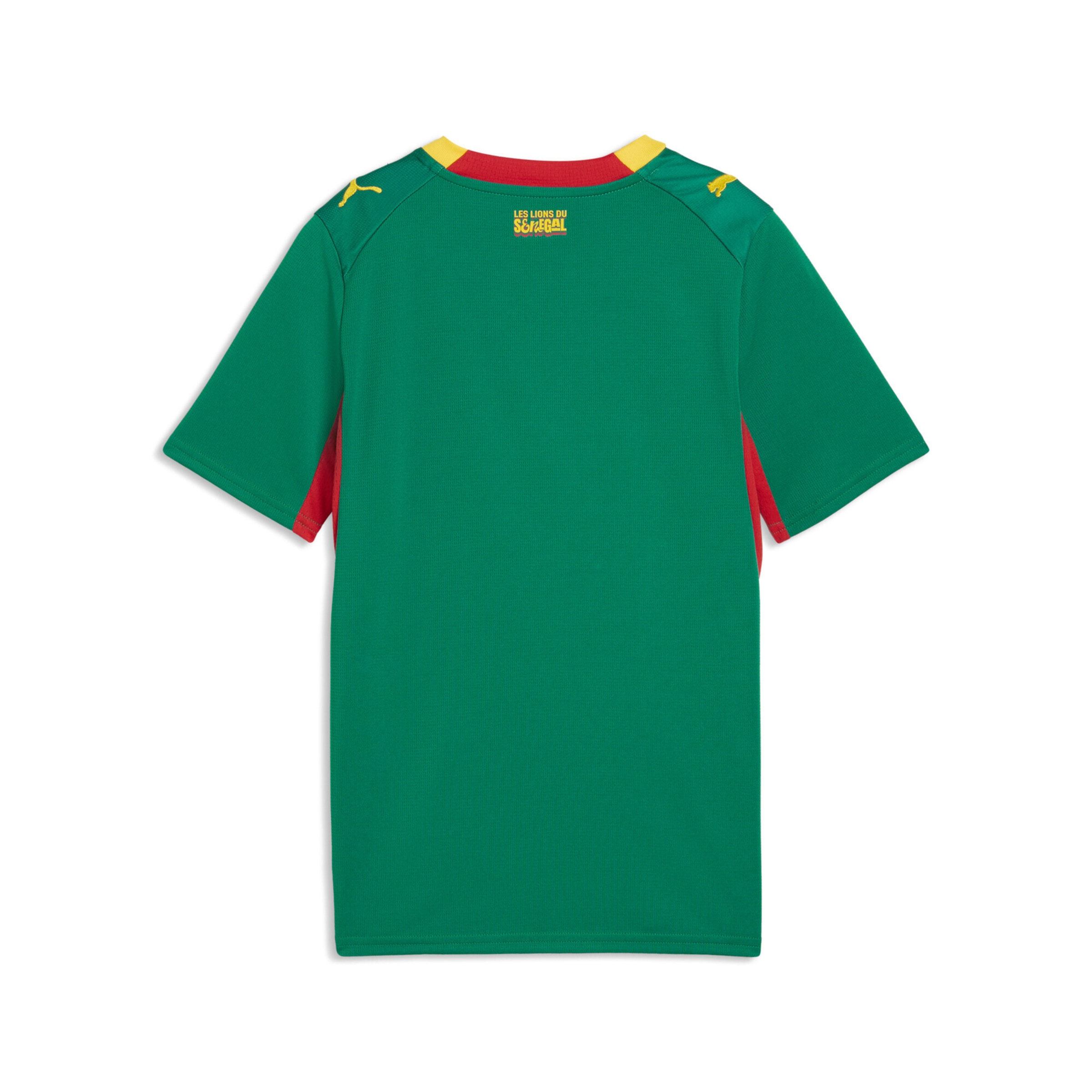 PUMA Functioneel shirt 'Senegal 2026' in Groen