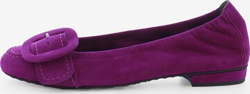 Ballerines 'Malu' Kennel & Schmenger en violet : devant