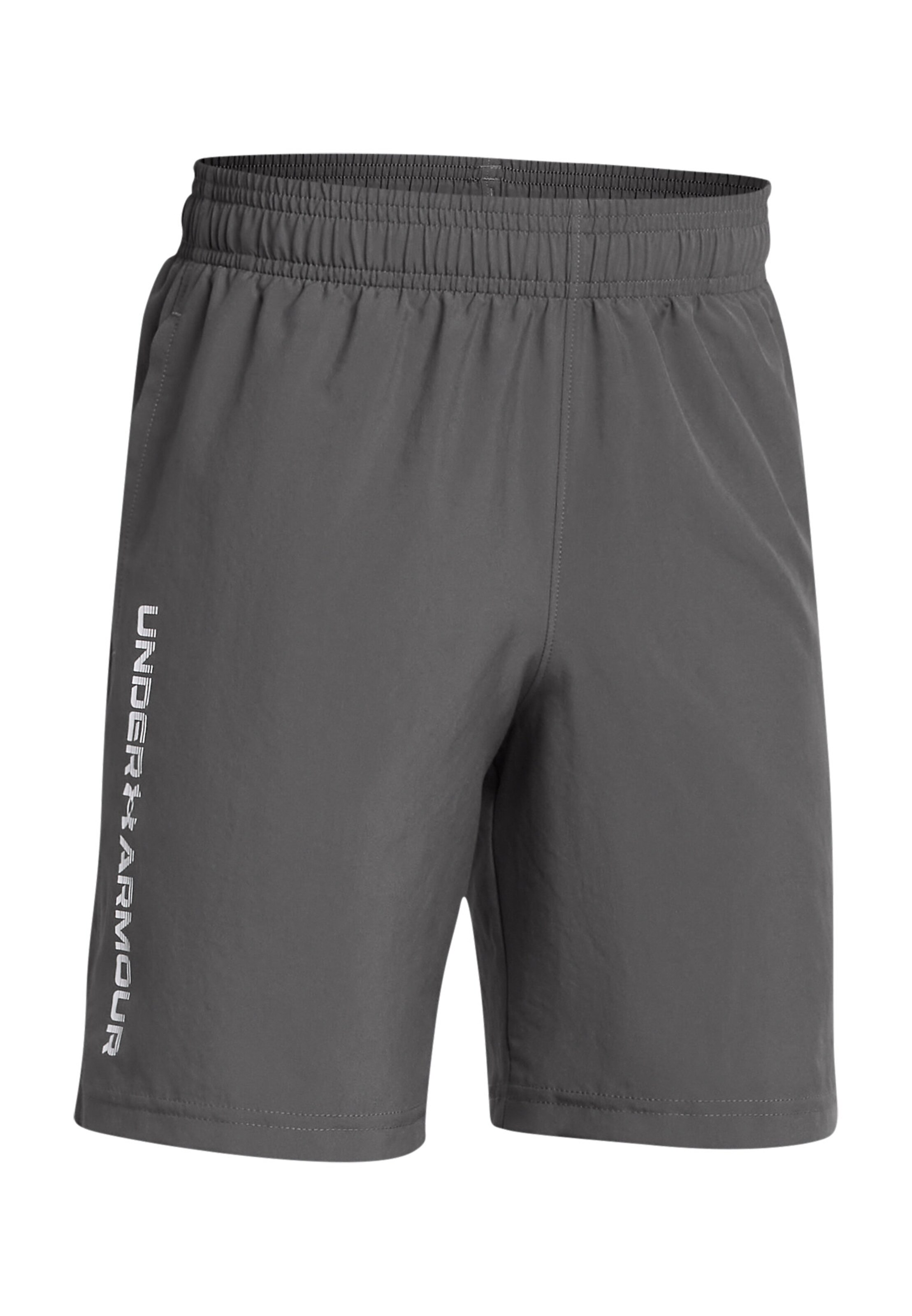 UNDER ARMOUR Regular Workout Pants in Grey