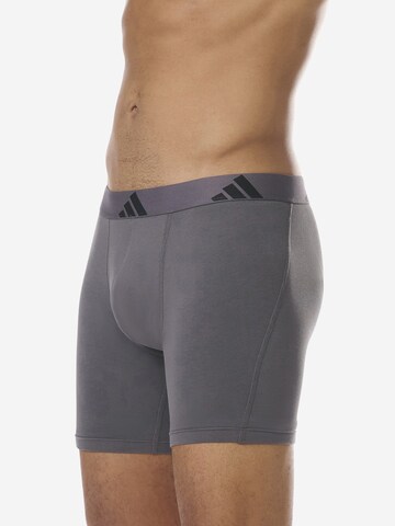 Boxers ' Active Flex Cotton ' ADIDAS SPORTSWEAR en mélange de couleurs