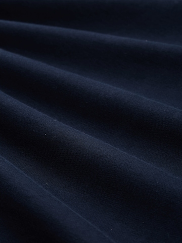 TOM TAILOR DENIM Sweatshirt in Blauw
