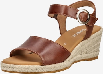 Sandales GABOR en marron : devant