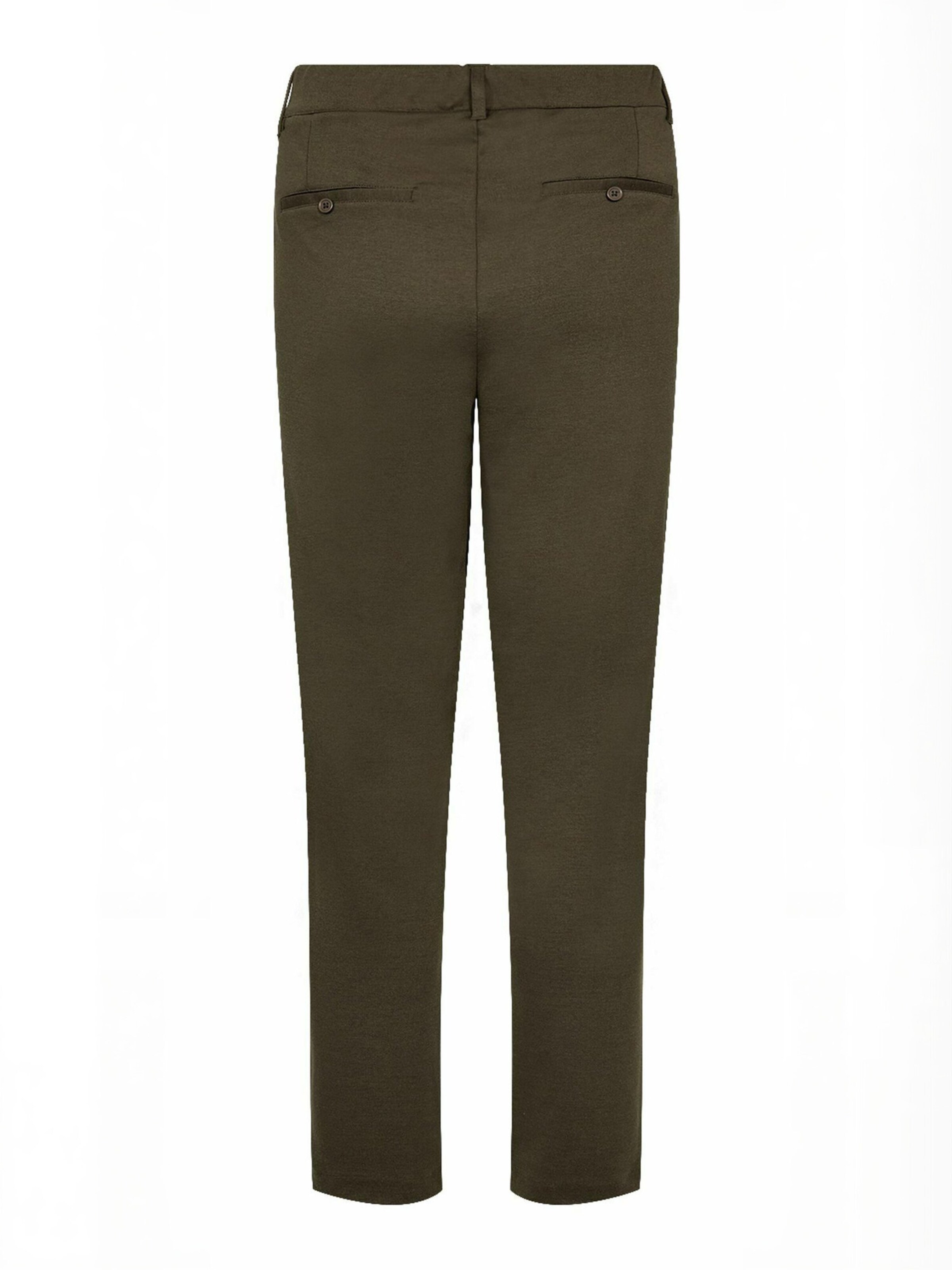 Regular Pantalon ' WA-SINA ' Wasabi Concept en vert