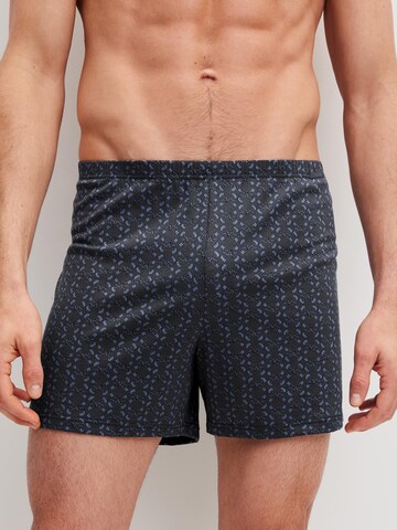 CALIDA Boxer shorts 'Prints' in Grey