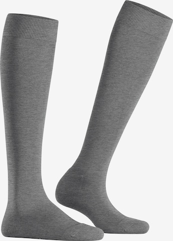 FALKE Knee High Socks 'ClimaWool' in Grey: front