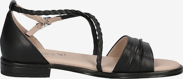 CAPRICE Sandals in Black