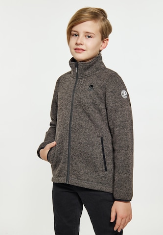 Schmuddelwedda Fleece Jacket in Grey: front