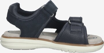 GEOX Open schoenen in Blauw