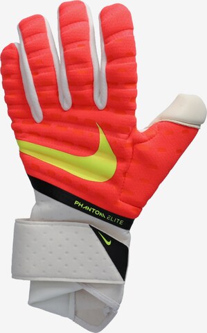 Welche Faktoren es vor dem Bestellen die Sporthandschuhe nike zu beurteilen gibt