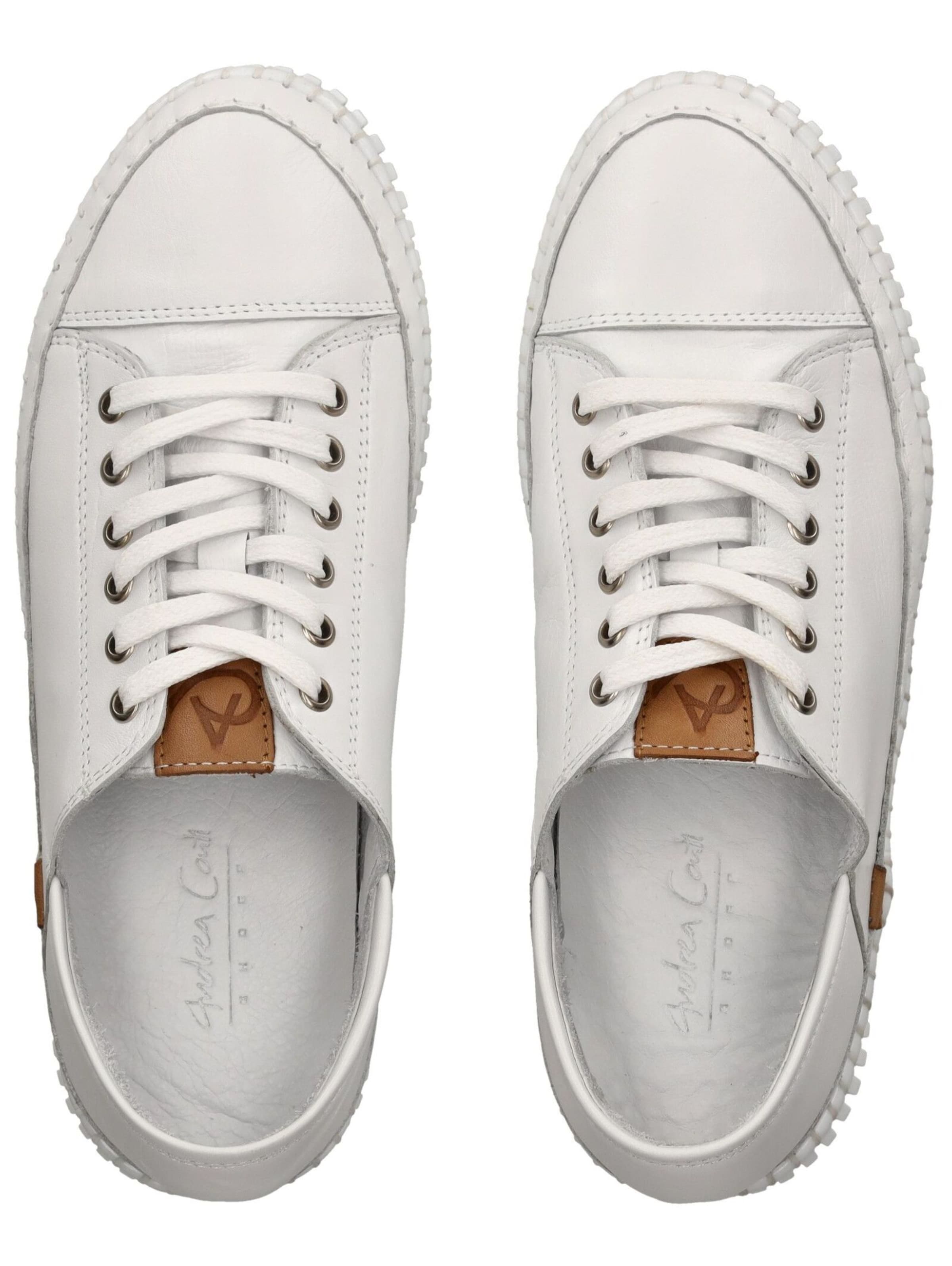 Chaussure à lacets ANDREA CONTI en blanc