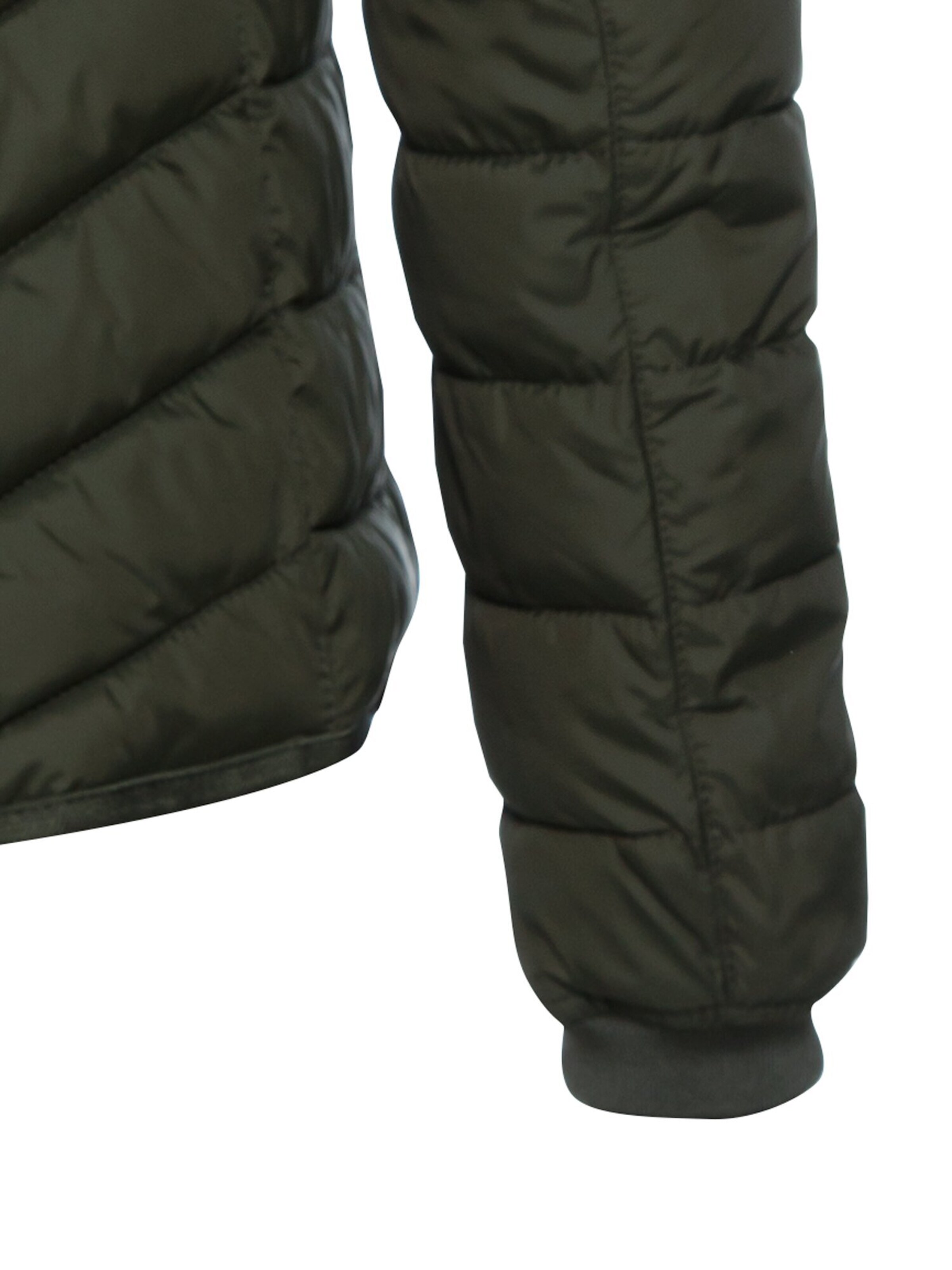 CAMEL ACTIVE Funktionsjacke in Grün