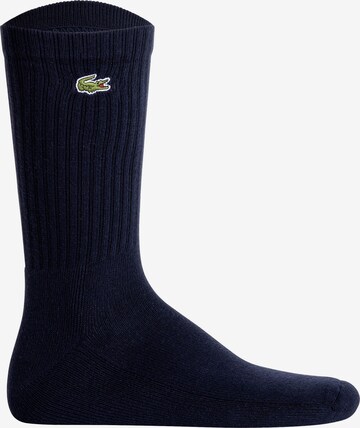 LACOSTE Sports socks in Blue