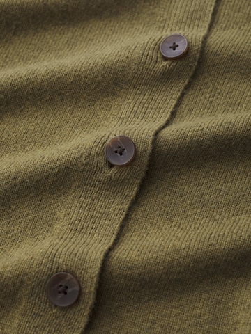 Seasalt Cornwall Neuletakki 'Tern Tide' värissä vihreä