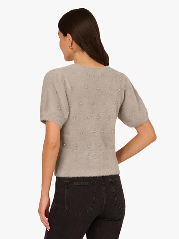 Adrianna Papell Pullover in Grau