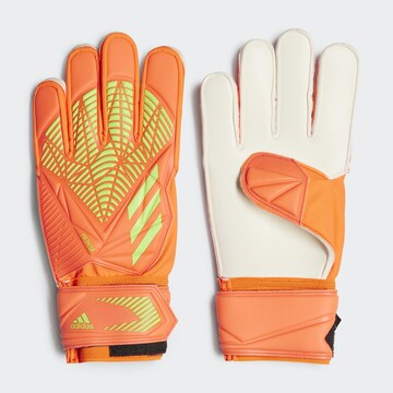 ADIDAS SPORTSWEAR Sporthandschuhe 'Predator Edge Match Goalkeeper' in Orange