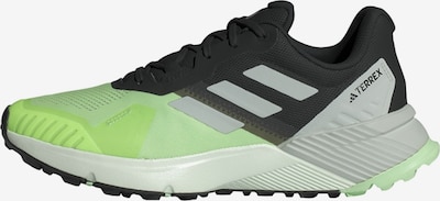 ADIDAS TERREX Laufschuh 'Soulstride' in grau / anthrazit / hellgrau, Produktansicht