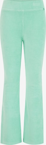 Pantaloni de la WE Fashion pe verde: față