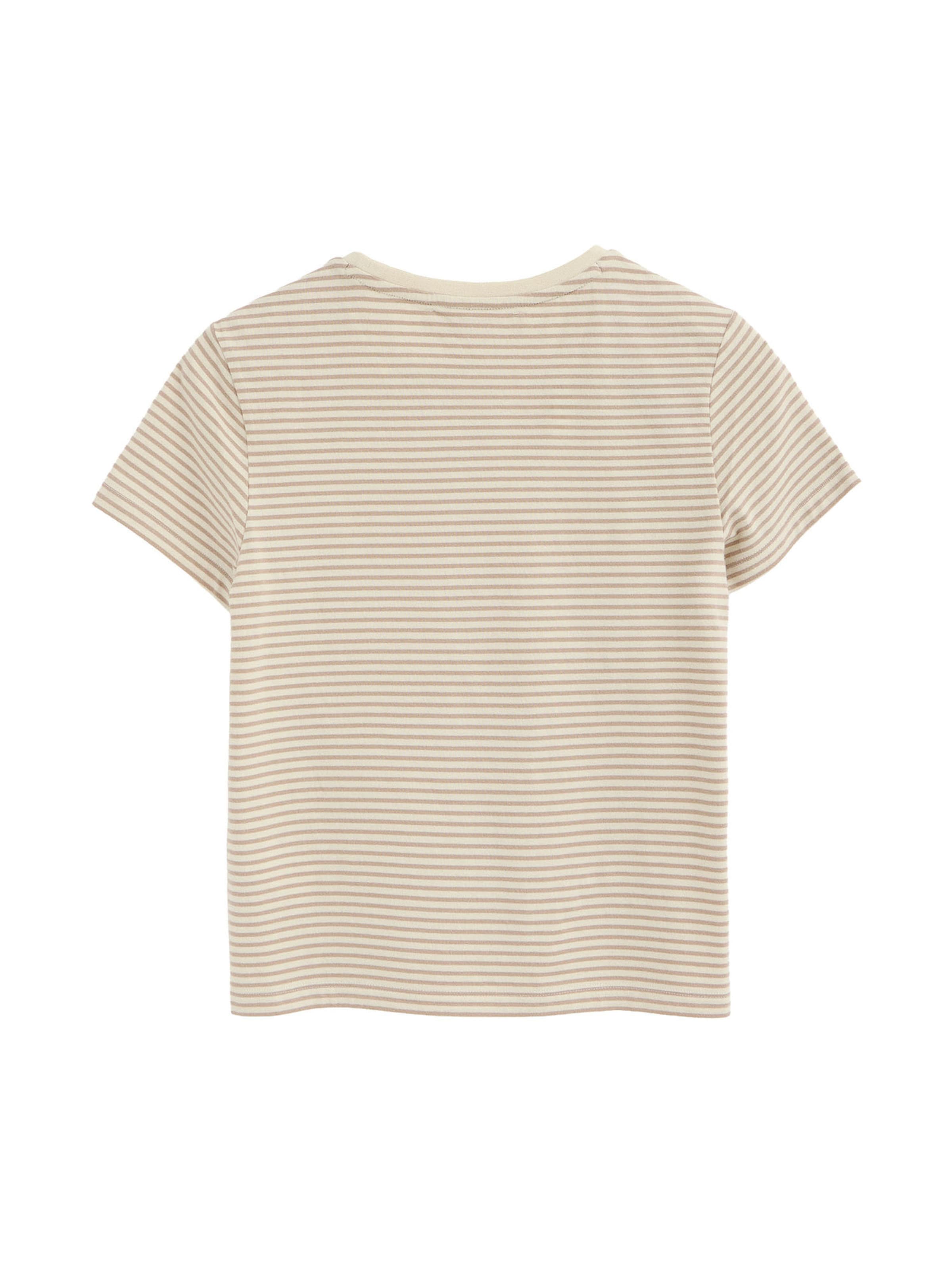 Polo Club Shirt in Brown