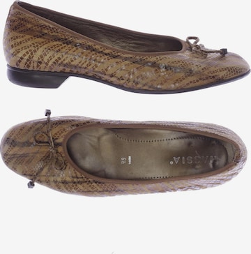 HASSIA Flats & Loafers in 39,5 in Brown: front