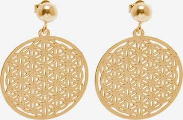 Gemshine Earrings in Gold: front