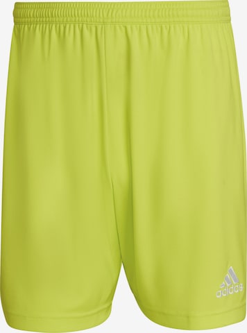 ADIDAS SPORTSWEAR Workout Pants 'Entrada 22' in Green: front