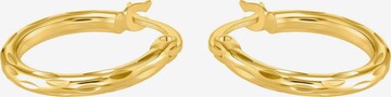 s.Oliver Earrings in Gold: front