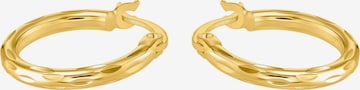 s.Oliver Earrings in Gold: front