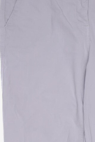 VIA APPIA DUE Pants in XL in Grey