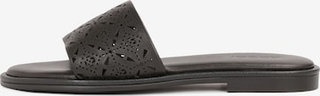 Zoccoletto di Kazar in nero: frontale