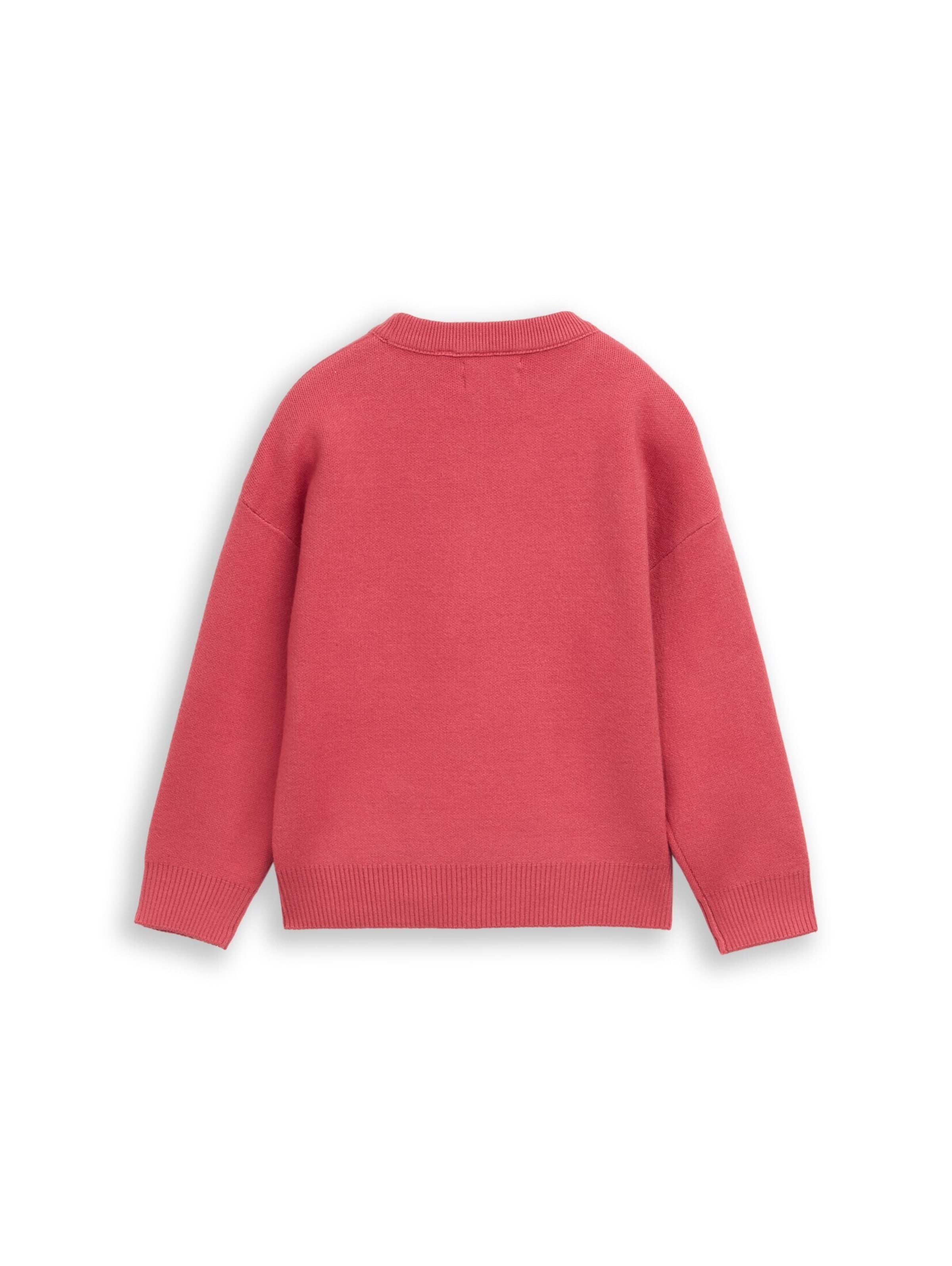 TOM TAILOR Trui in Rood