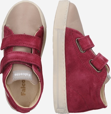 Chaussure basse 'MICHAEL' Falcotto en rose