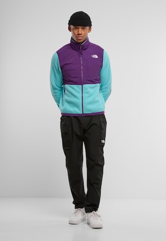 THE NORTH FACE Regular fit Fleece jacket 'Denali 2' in Blue