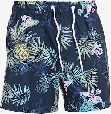 Cruz Board Shorts 'Quinland' in Blue: front