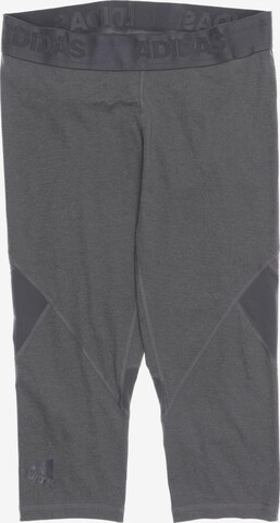 ADIDAS PERFORMANCE Pants in L in Grey: front