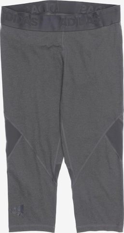 ADIDAS PERFORMANCE Stoffhose L in Grau: predná strana